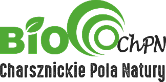 Logo 2